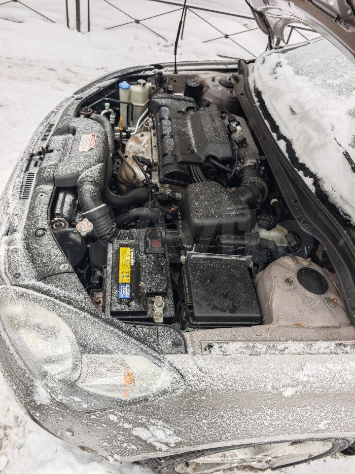 Фото из отзыва: Игорь